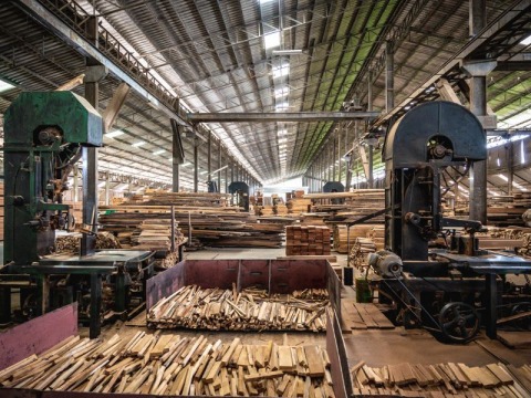 โรงงานแปรรูปไม้สัก